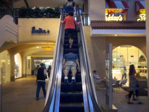 escalator sleep