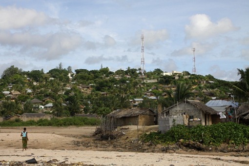 [2010_02_19_82503[2].jpg]