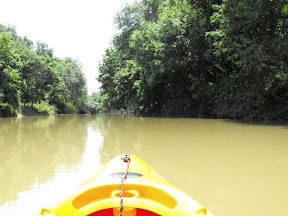KAYAKING