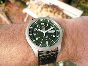 SNZG09