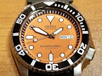 skx011 mod