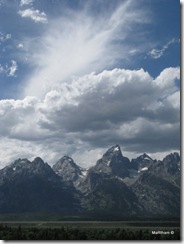 IMG_3917 IMG_3917