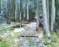 10-02-10_1255.jpg Photo