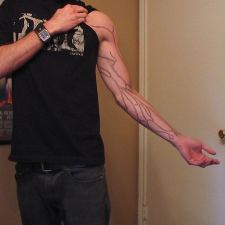 veins_2006 veins_2006