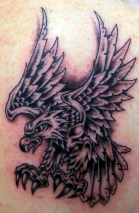 ornithology-tattoos-11