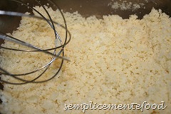 IMG_5447 IMG_5447