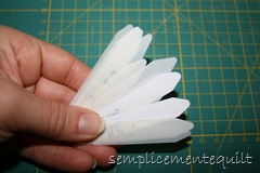 IMG_5055 IMG_5055
