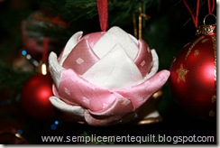 IMG_2142 IMG_2142