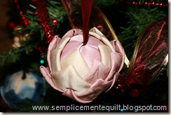 IMG_2144 IMG_2144