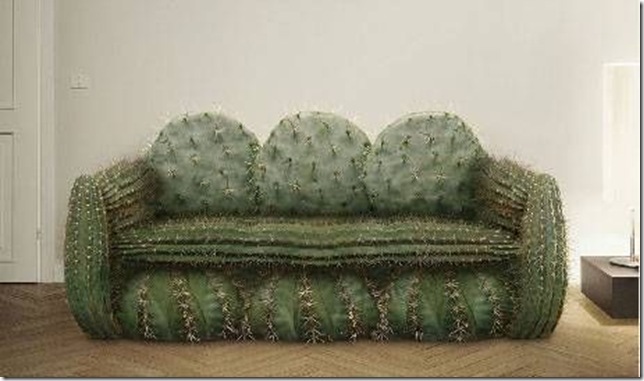 sofa cacto