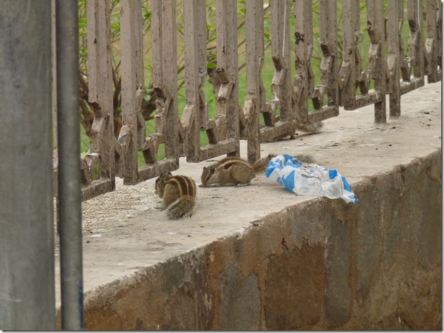 2008.12_india_0399