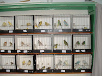 DSCF0225.JPG