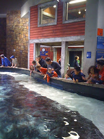 Atlanta Georgia Aquarium
