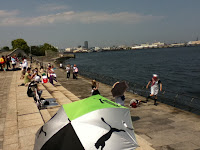 IMG_0177.JPG Photo