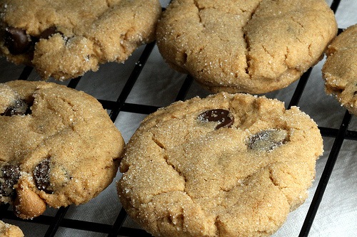 [cookie[3].jpg]
