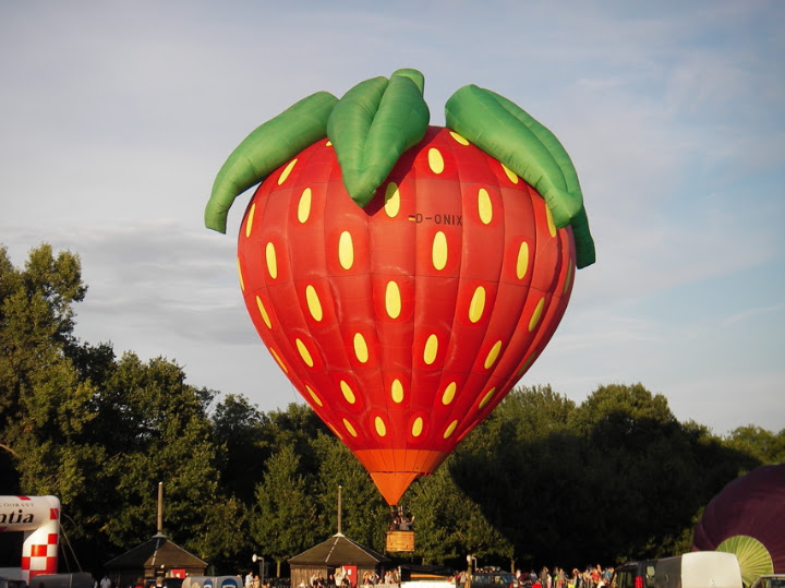 aardbij