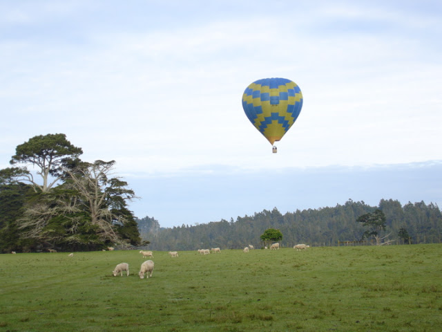 Ochtend ballonvaart in nieuw zeeland