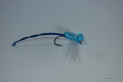 damsel blue