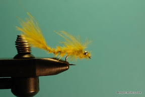 Damsel Nymph