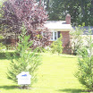 000_0046.JPG