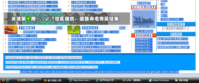 FIREFOX下面的效果