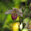 DSC_0769.JPG