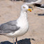 DSC_0999.JPG
