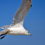 DSC_1002.JPG
