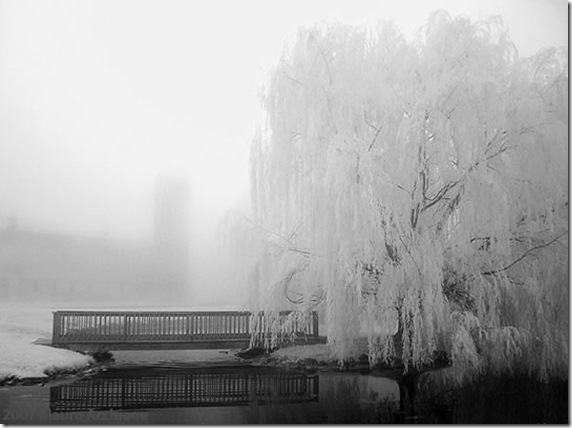 Bridge_Pond_S2_fs
