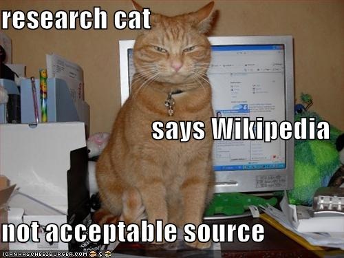 [research-cat-lolcat-706798[4].jpg]