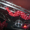 Valentijn (20)-ibi.jpg