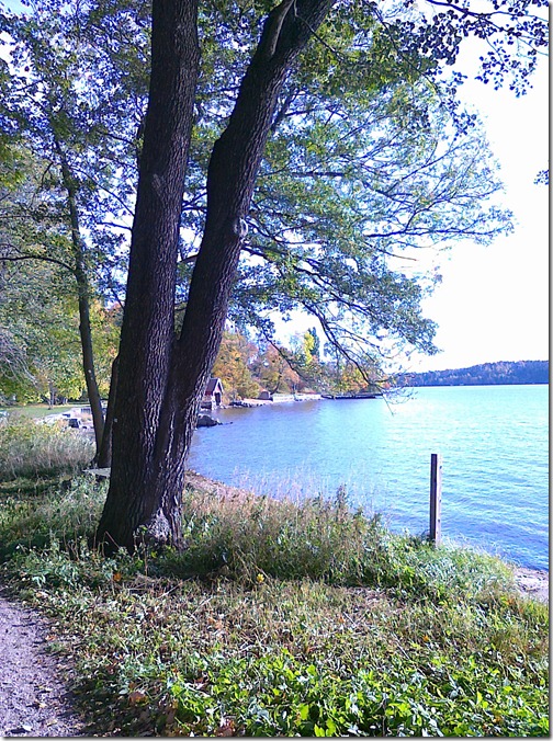 20101017016