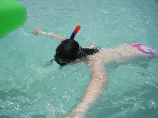 IMG_0333_resize.JPG
