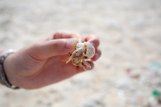 IMG_7991_调整大小.JPG