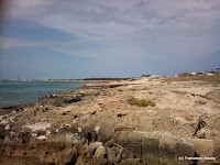 Savina4.jpg Photo