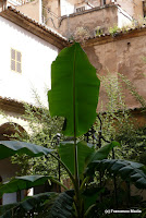 baleari_luglio_2008 062.jpg