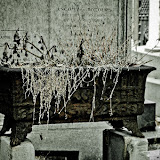 PICT2744