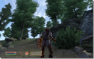 ScreenShot13