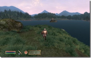 ScreenShot110