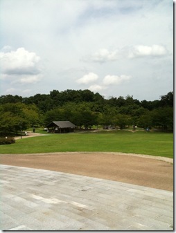 IMG_0353 IMG_0353
