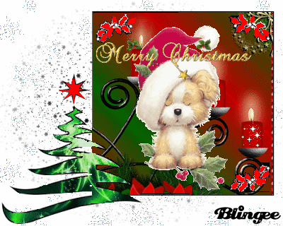 gifs navidad blogimagenes (16) gifs navidad blogimagenes (16)