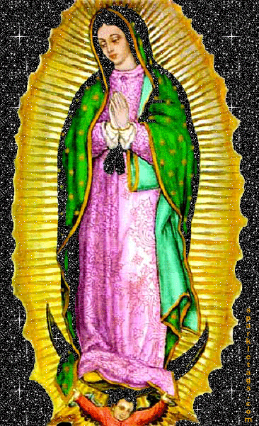 [virgen guadalupe (1)[2].gif]