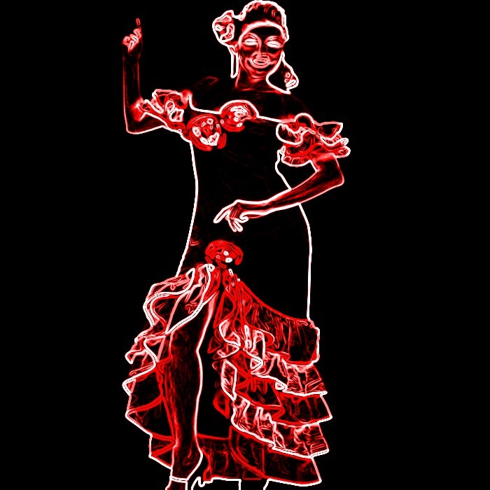 [flamenco blogdeimagenes (4)[4].jpg]