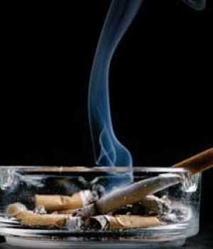 [cigarros-300x350[4].jpg]