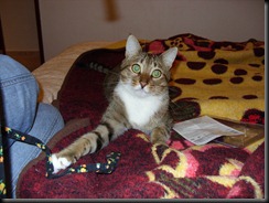 SDC10230