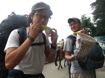 Nice and sweet yellow melon!