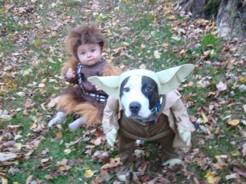 [yoda_chewbacca[4].jpg]