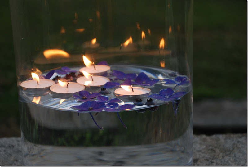 DSC_1159 DSC_1159