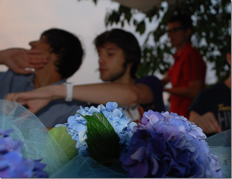 DSC_1198 DSC_1198