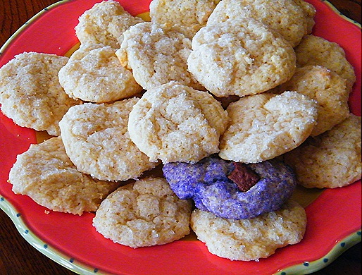 2010_0831ricottacookies20002